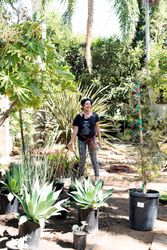 Female contractor working outside surrounded by potted plants and trees