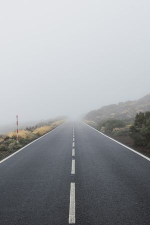 Empty road through woodland in overcast day