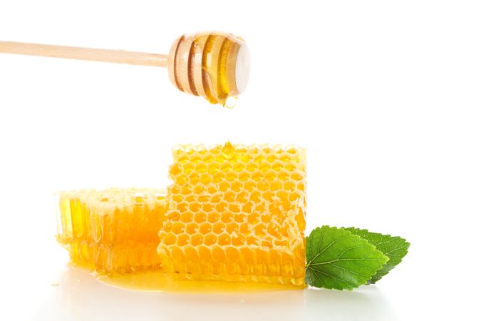 Honeycombs, dipper and leaves isolated on plain background
