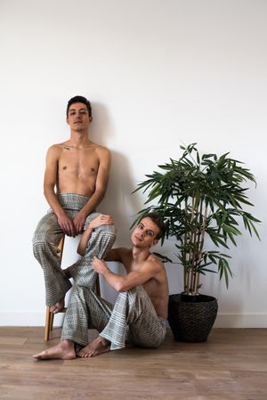 Stylish shirtless gay couple posing