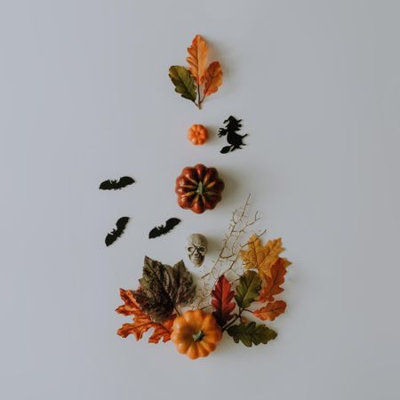 Autumn fruits, leaves and bats and skull on light background