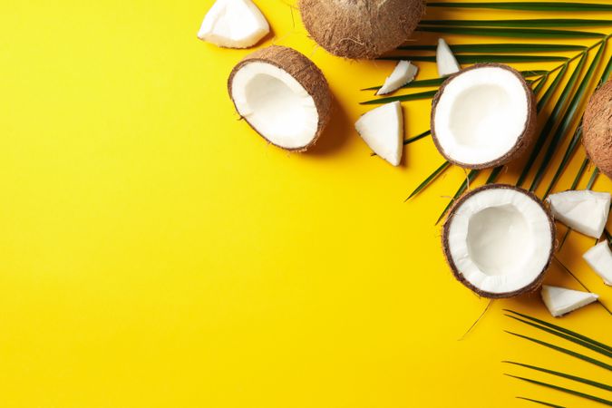 Coconut and palm branch on yellow background. Tropical fruit