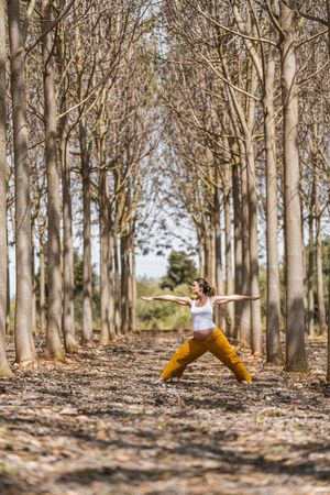 Adult expectant mother practicing yoga in park during sunny day