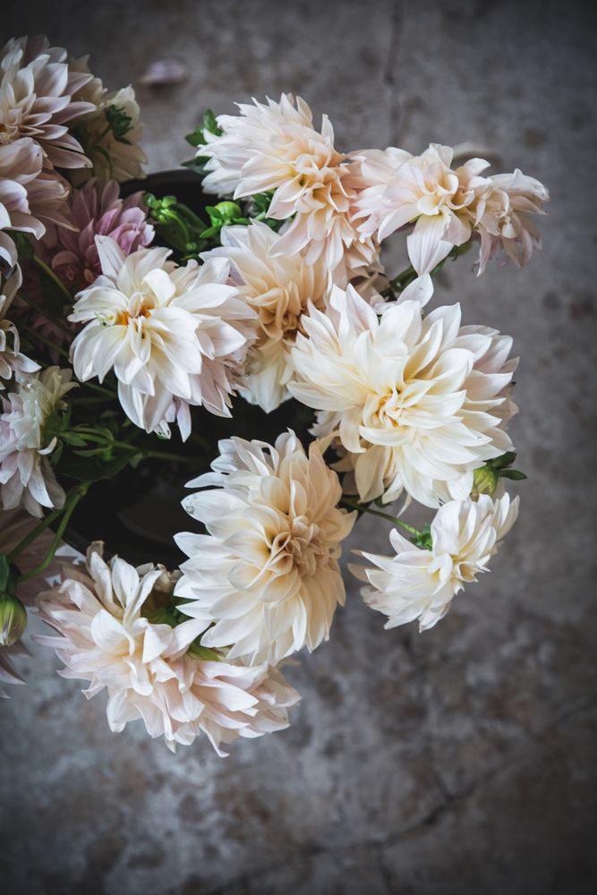 Bouquet of fresh pink flowers