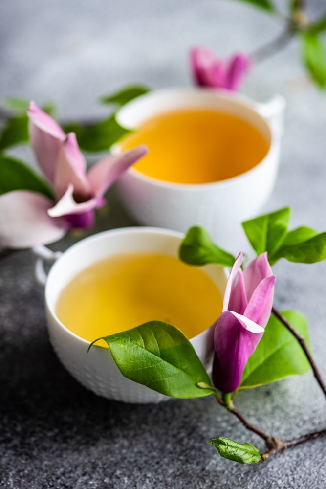 Spring floral concept with magnolia with green tea
