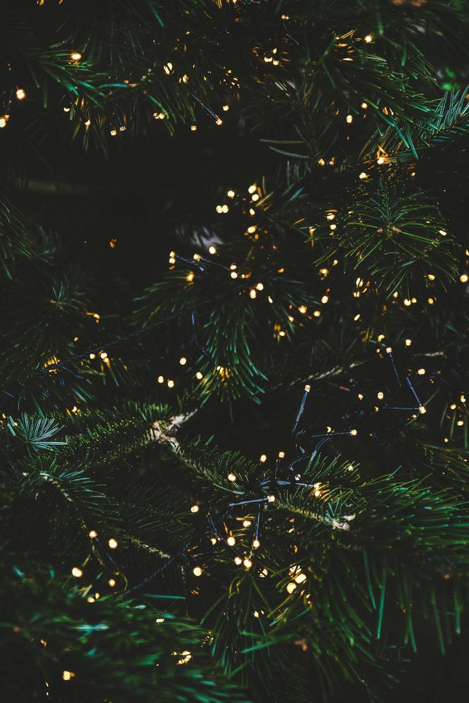 Green festive fur tree texture, vertical composition, selective focus