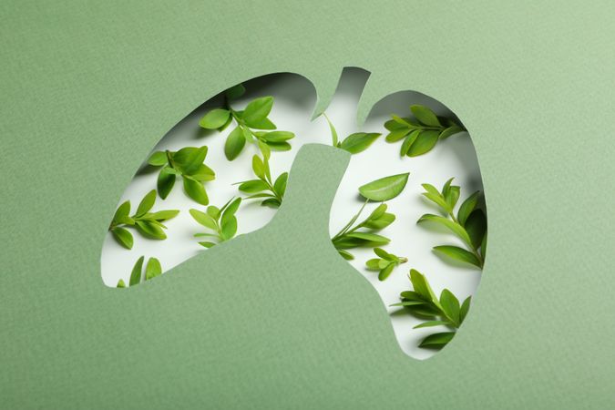 Close up of lung shape cut out of green paper revealing leaves underneath