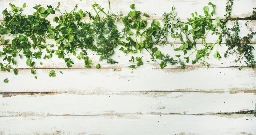 Healthy vegetarian cooking concept with copy space