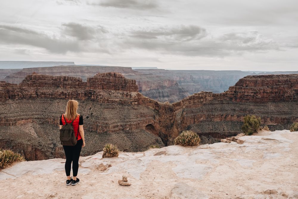 Calm female looking at pictorial landscape