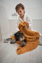 Gentle boy wiping dog with towel in bathroom