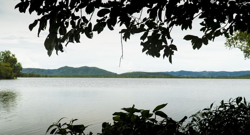 Tranquil bay landscape in tropical vegetation