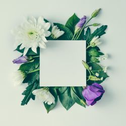 Layout made of green leaves and purple flowers with light  paper card