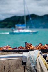 Fish and chicken on a BBQ in the Indian Ocean