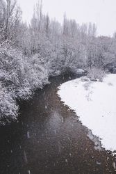 River streaming between snow forest