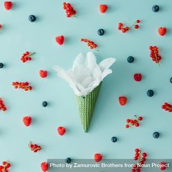 Flower in green waffle cone on blue background with berries 0gAX74