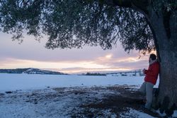 Man playing guitar under tree