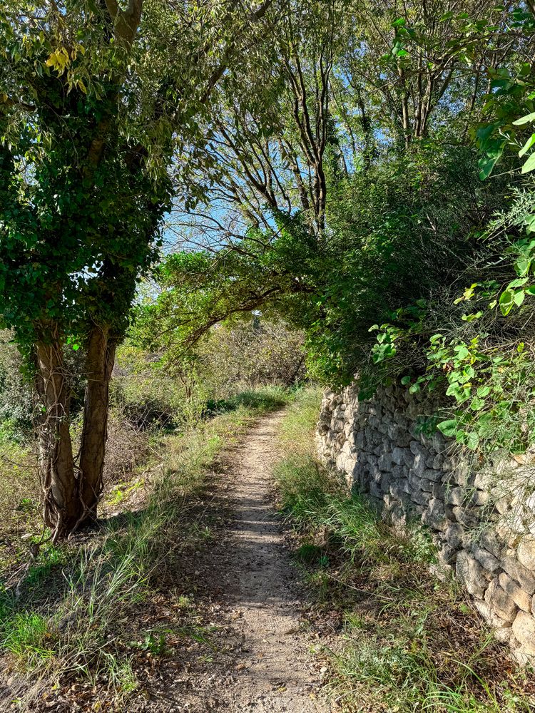 Wooded trail along stone wall in the Baux-de-Provence