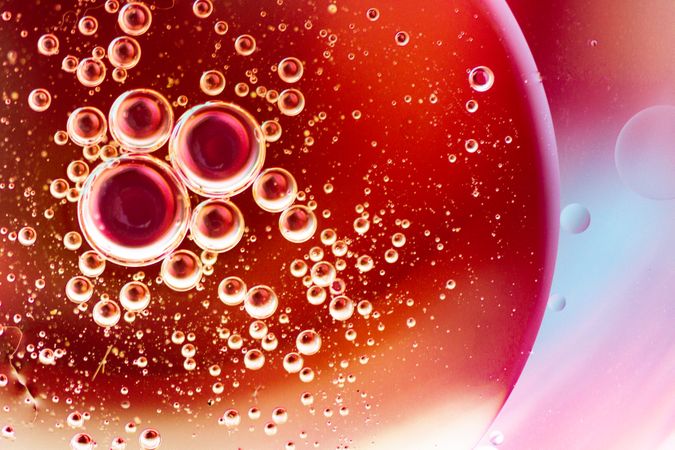 Abstract pink and red water bubbles