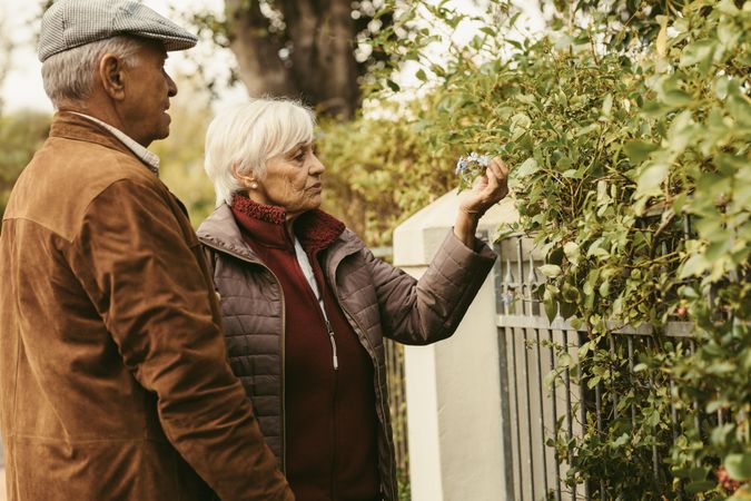 Older woman looking at flowers on a fence while standing with her husband