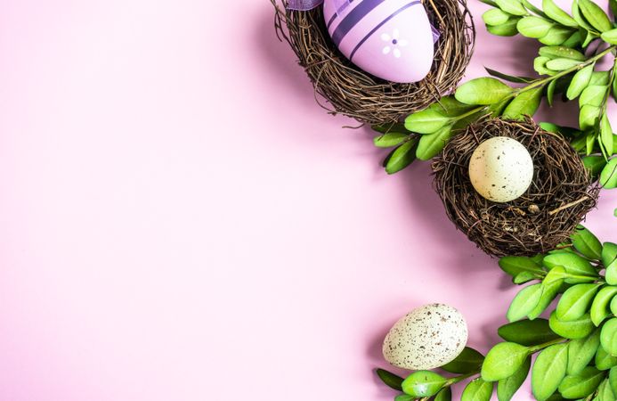 Easter holiday card with eggs in nests baby pink background