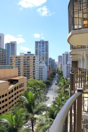 Top view of road surrounded by palm trees and city buildings in Hawaii