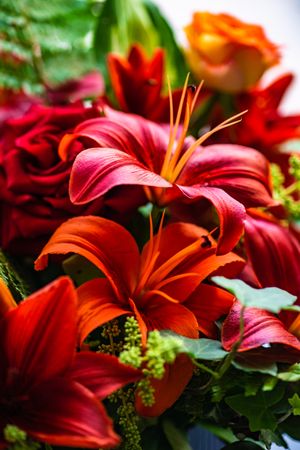 Close up of red lily bouquet