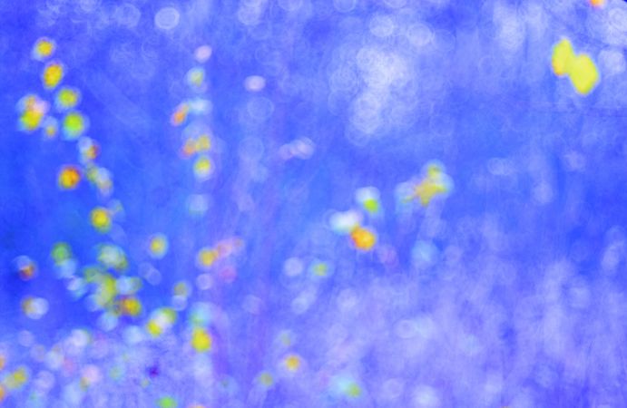 Tender dry leaves in blue light effect