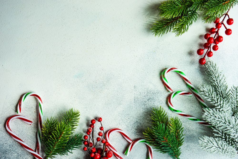 Christmas card concept with candy canes and branches