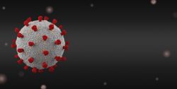 Microscope view of COVID-19 virus