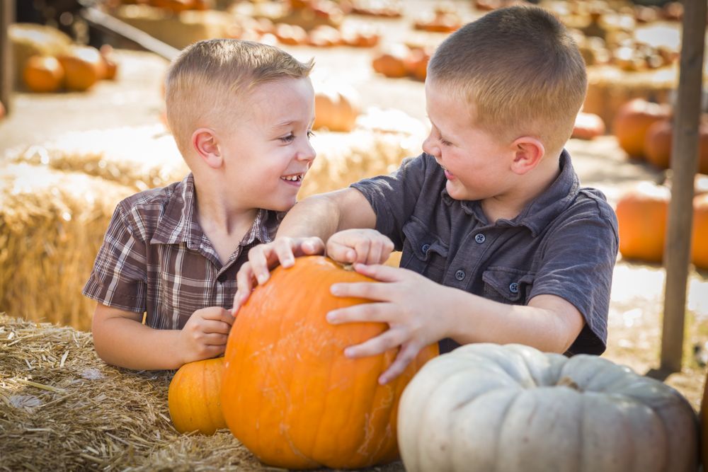 Two Boys Having Fun at the Pumpkin Patch