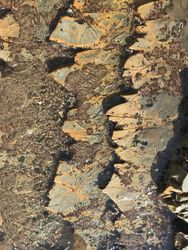 Layered gray and brown ocean rocks