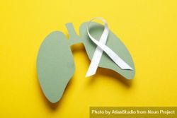 Green lungs cut out of paper with ribbon on yellow background 4mJZNb
