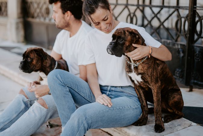Adorable boxer dogs sitting with young people