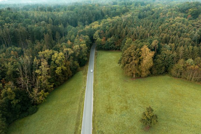 Aerial view with a road passing through the meadow and forest.