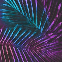 Tropic purple leaves layout