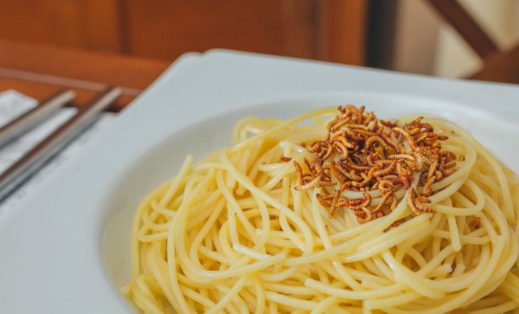 Spaghetti with worms dish