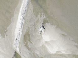 Desolate plain beach with a single dead branch.