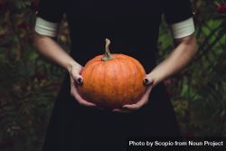 Cropped image of woman in dark dress holding pumpkin 0LXDX0