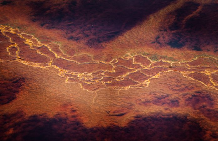 Bright orange splashes in nature
