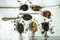 Varieties of tea in vintage spoons 4mWdwz