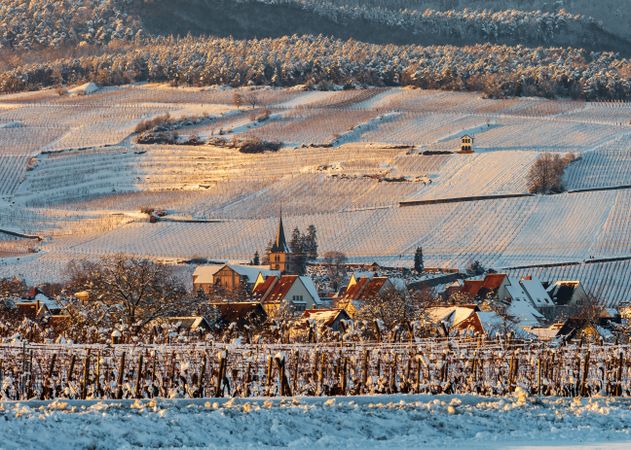 The warm colors of the setting sun on the snowy foothills of the Vosges. Alsace.
