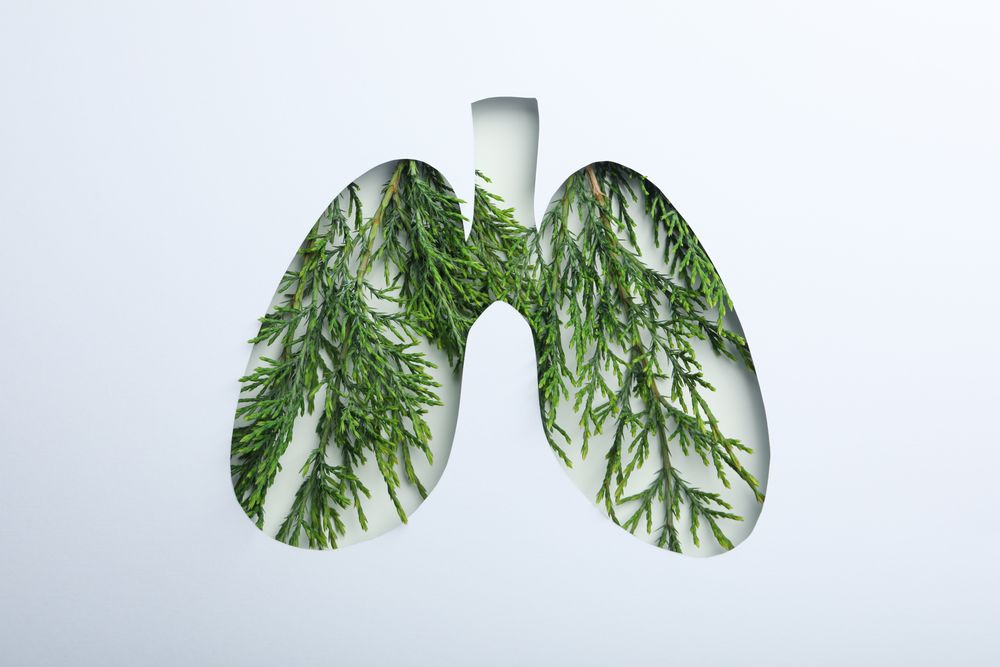 Lung shape cut out of paper with green plant underneath