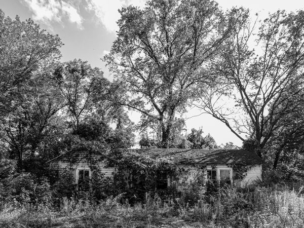 An uninhabited, ramshackled and overgrown house