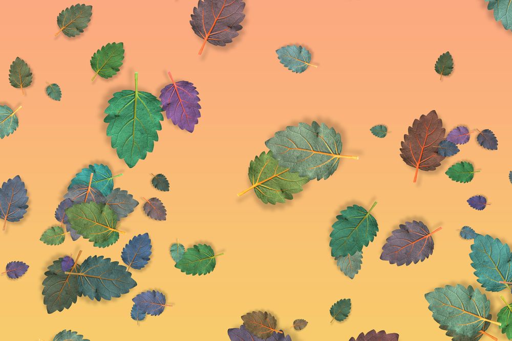 Scattered leaves on gradient yellow pastel background