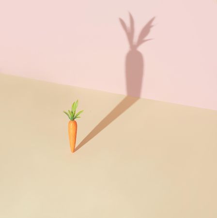 Carrot and shadow on pastel yellow background
