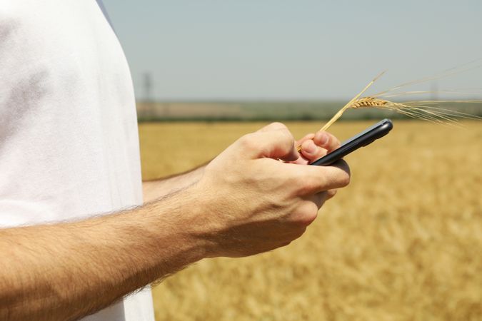 Man with phone in barley field. Agriculture business