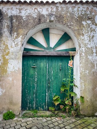 green sunrise door, Saint Martin, ile de Ré, France