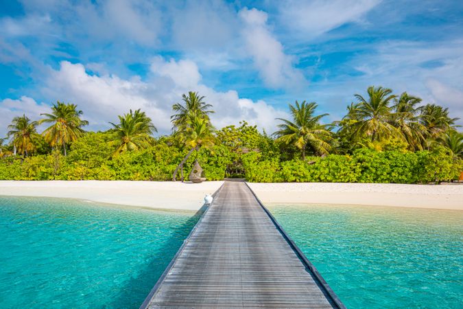 Walkway leading to a tropical beach with palm trees