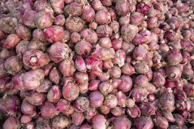 Red onions or shallots for sale in the market