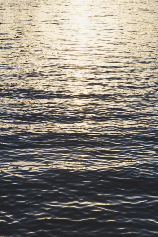 Waves on water surface and sunshine